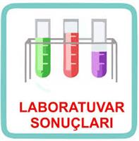 Laboratory Result